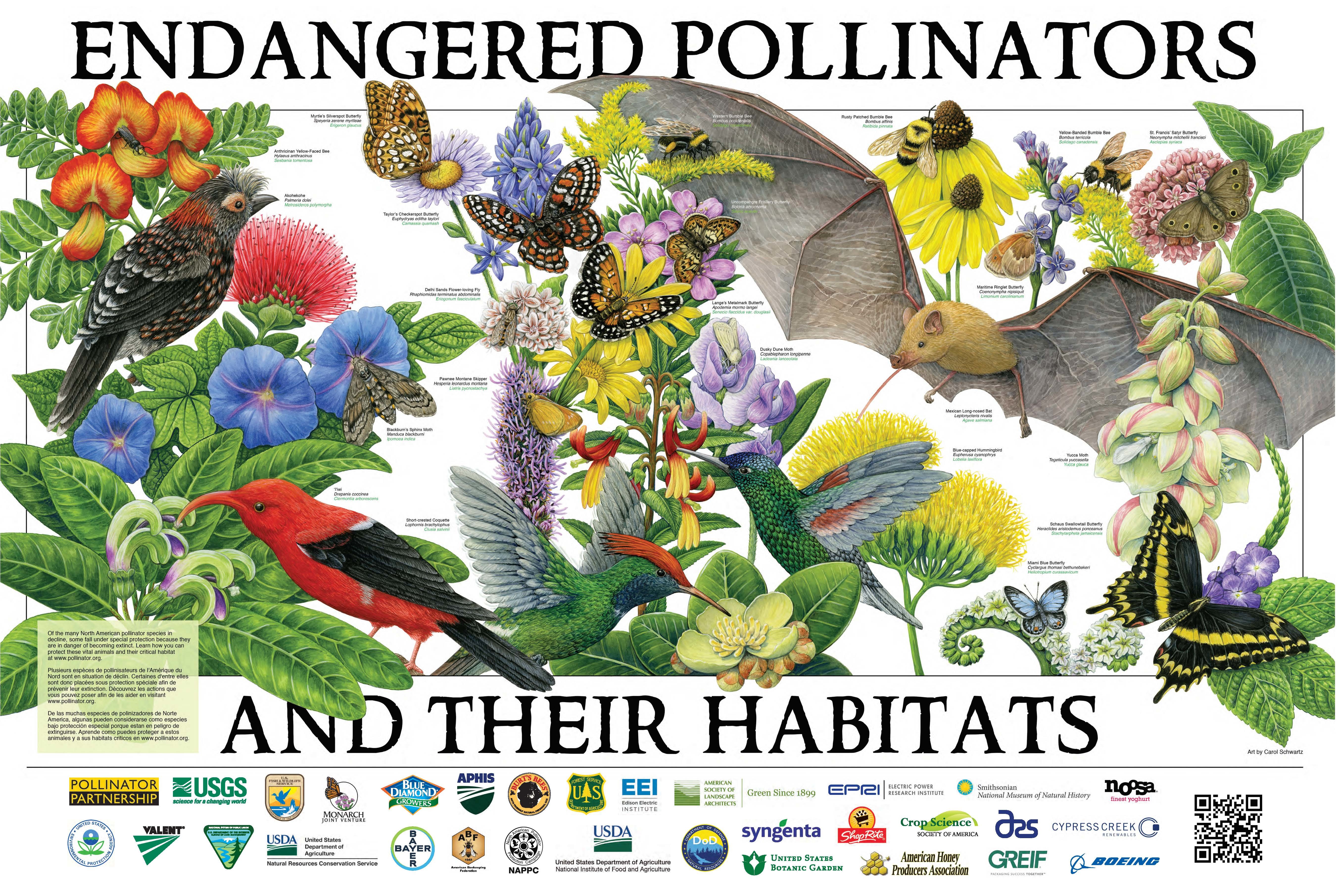 Posters | Pollinator.org