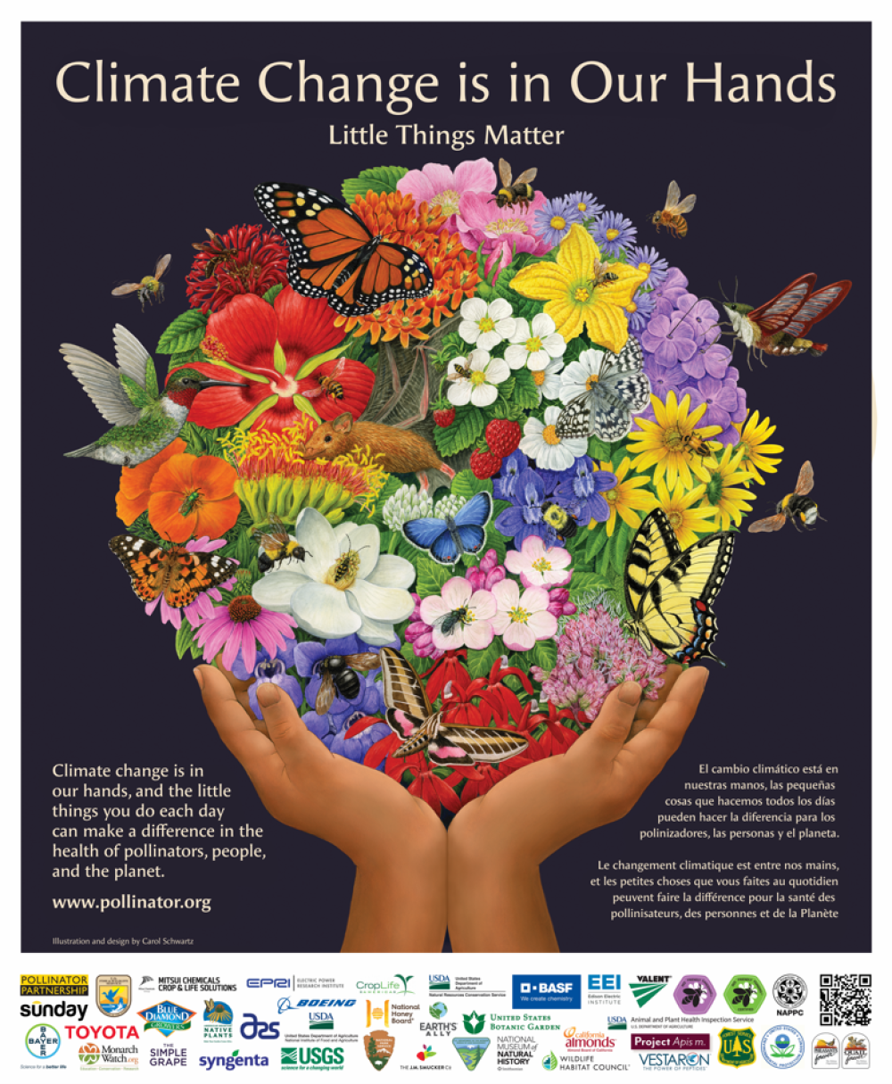 Build a Butterfly Bouquet for National Pollinator Week